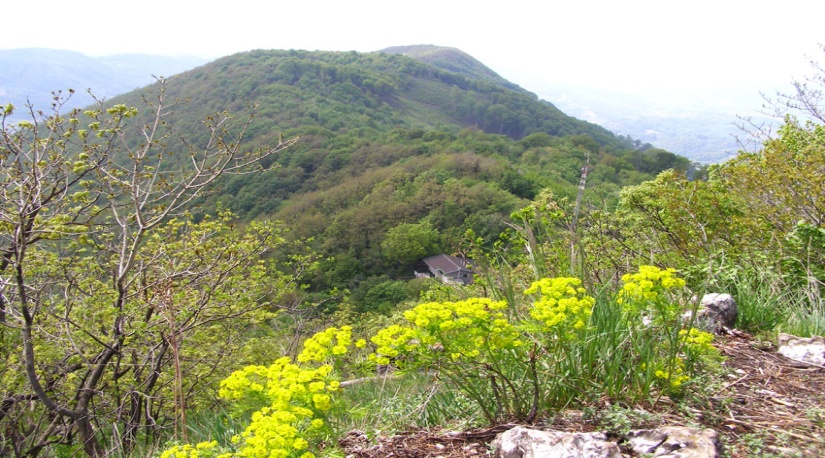 STRAHINJŠĆICA – 15.02.2026.