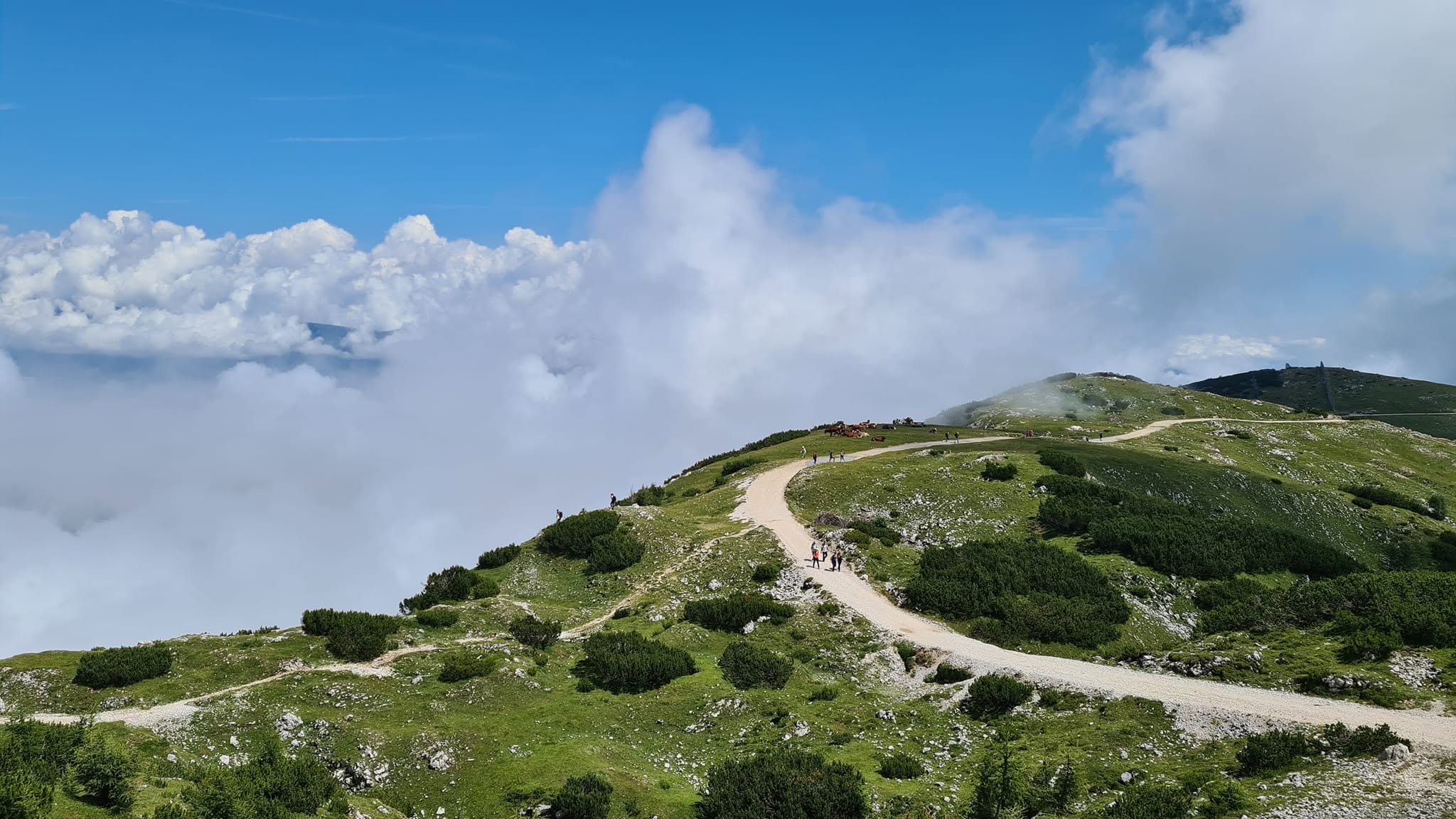 DOBRATSCH – 30.08.2026.