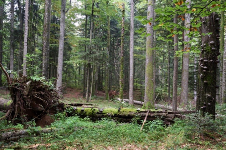 ČORKOVA UVALA – PLITVIČKA JEZERA – 12.09.2026.